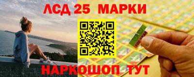 индика Жуковский