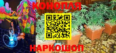 индика Жуковский