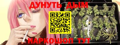 индика Жуковский