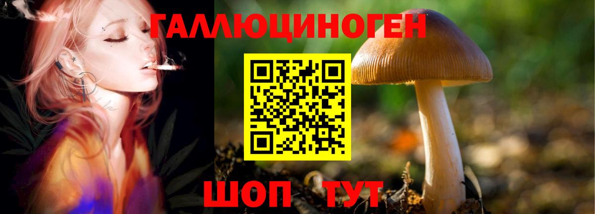 Лосино-Петровский  Галлюциногенные грибы Psilocybe  Галлюциногенные грибы GOLDEN TEACHER  Вход с VPN 