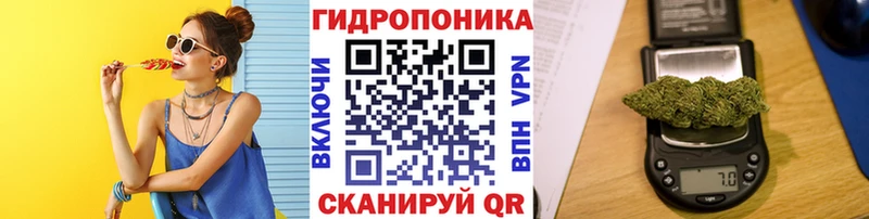 Бошки Шишки тримм  закладка  Лосино-Петровский 
